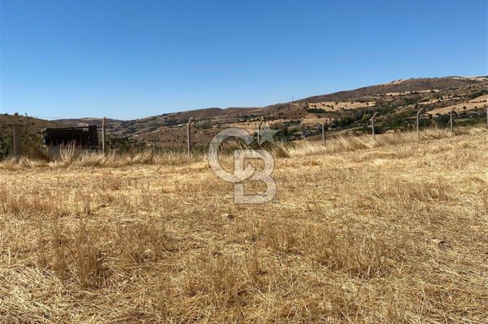 COLDWELL BANKER BUSİNESS'DEN MEMLİK TEK TAPU 5000M2 SATILIKTARLA