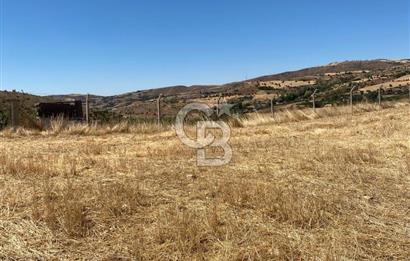 COLDWELL BANKER BUSİNESS'DEN MEMLİK TEK TAPU 5000M2 SATILIKTARLA