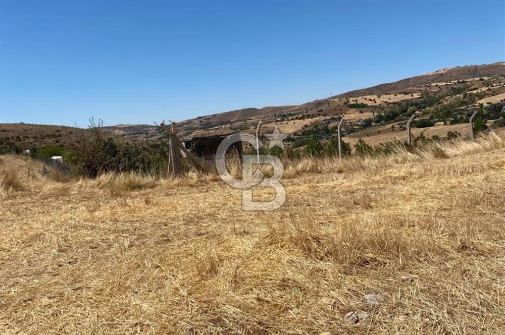 COLDWELL BANKER BUSİNESS'DEN MEMLİK TEK TAPU 5000M2 SATILIKTARLA