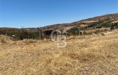 COLDWELL BANKER BUSİNESS'DEN MEMLİK TEK TAPU 5000M2 SATILIKTARLA