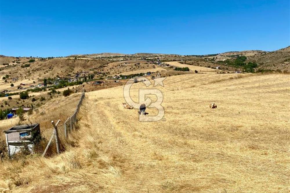 COLDWELL BANKER BUSİNESS'DEN MEMLİK TEK TAPU 5000M2 SATILIKTARLA