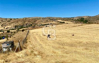 COLDWELL BANKER BUSİNESS'DEN MEMLİK TEK TAPU 5000M2 SATILIKTARLA