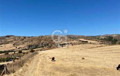 COLDWELL BANKER BUSİNESS'DEN MEMLİK TEK TAPU 5000M2 SATILIKTARLA