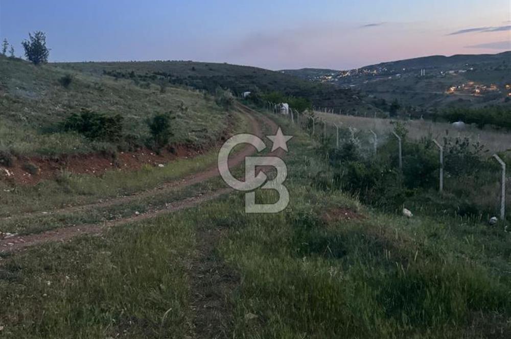 COLDWELL BANKER BUSİNESS'DEN MEMLİK TEK TAPU 5000M2 SATILIKTARLA