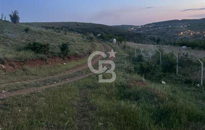 COLDWELL BANKER BUSİNESS'DEN MEMLİK TEK TAPU 5000M2 SATILIKTARLA