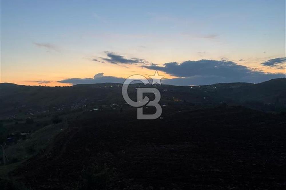 COLDWELL BANKER BUSİNESS'DEN MEMLİK TEK TAPU 5000M2 SATILIKTARLA