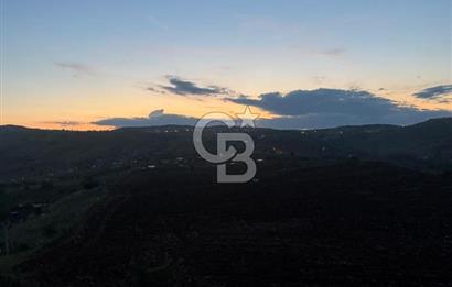 COLDWELL BANKER BUSİNESS'DEN MEMLİK TEK TAPU 5000M2 SATILIKTARLA