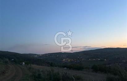 COLDWELL BANKER BUSİNESS'DEN MEMLİK TEK TAPU 5000M2 SATILIKTARLA