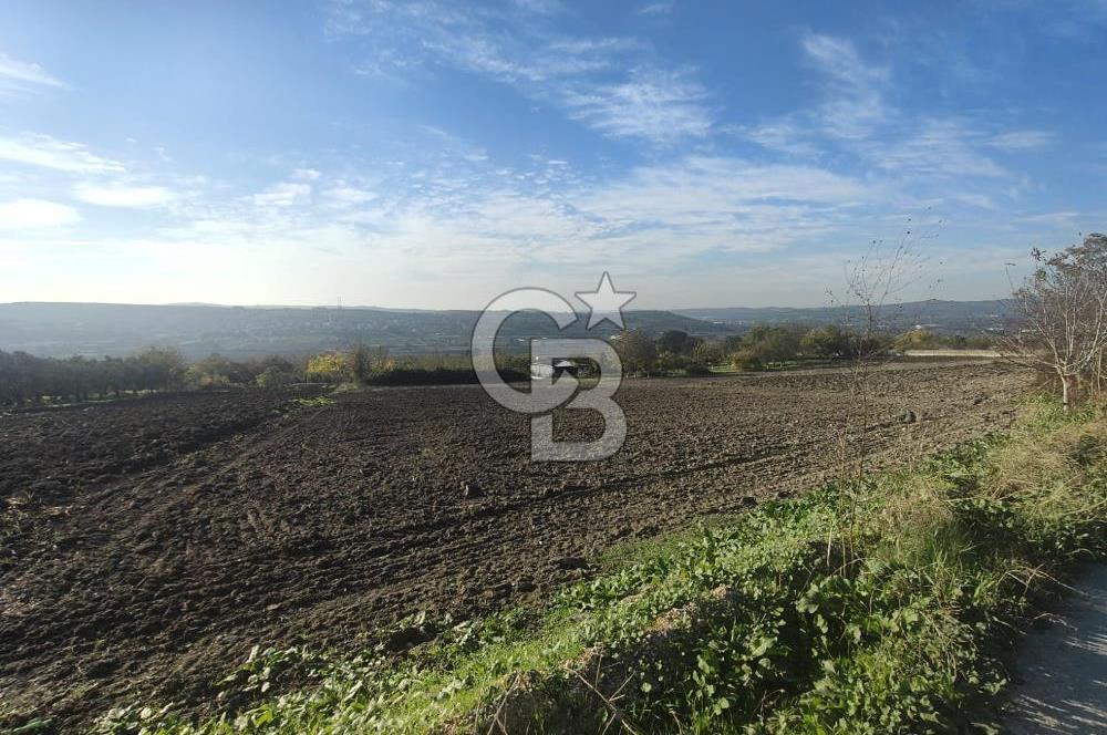 CB BLACK'TAN NİLÜFER İRFANİYE'DE ASFALT YOLA CEPHE SATILIK TARLA