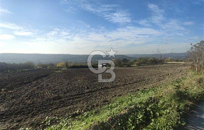 CB BLACK'TAN NİLÜFER İRFANİYE'DE ASFALT YOLA CEPHE SATILIK TARLA