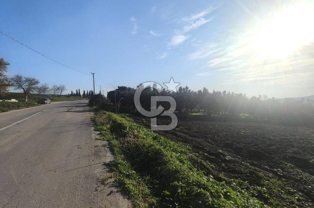 CB BLACK'TAN NİLÜFER İRFANİYE'DE ASFALT YOLA CEPHE SATILIK TARLA