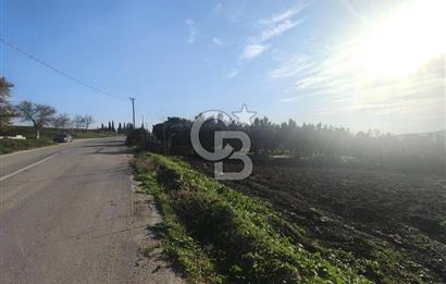 CB BLACK'TAN NİLÜFER İRFANİYE'DE ASFALT YOLA CEPHE SATILIK TARLA
