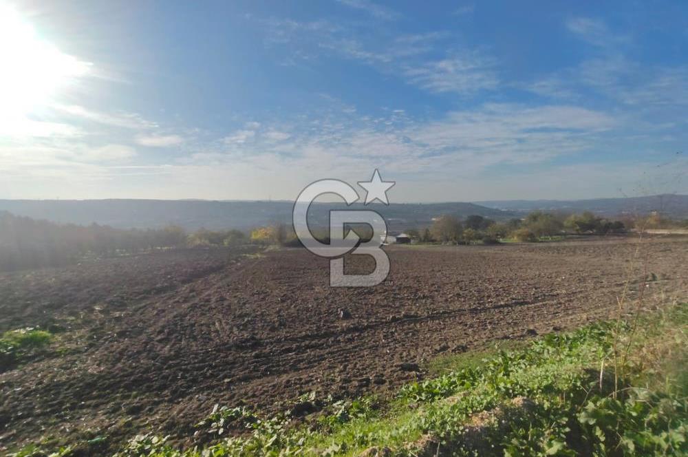 CB BLACK'TAN NİLÜFER İRFANİYE'DE ASFALT YOLA CEPHE SATILIK TARLA