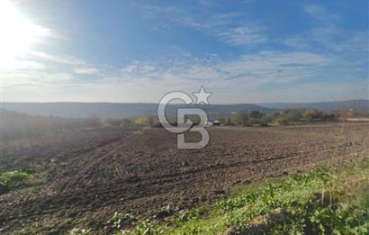 CB BLACK'TAN NİLÜFER İRFANİYE'DE ASFALT YOLA CEPHE SATILIK TARLA