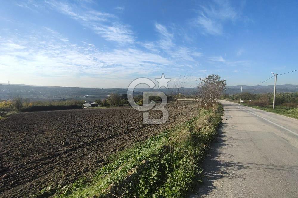 CB BLACK'TAN NİLÜFER İRFANİYE'DE ASFALT YOLA CEPHE SATILIK TARLA