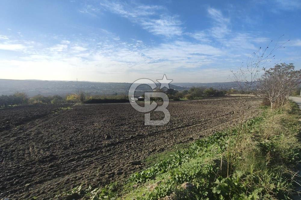 CB BLACK'TAN NİLÜFER İRFANİYE'DE ASFALT YOLA CEPHE SATILIK TARLA