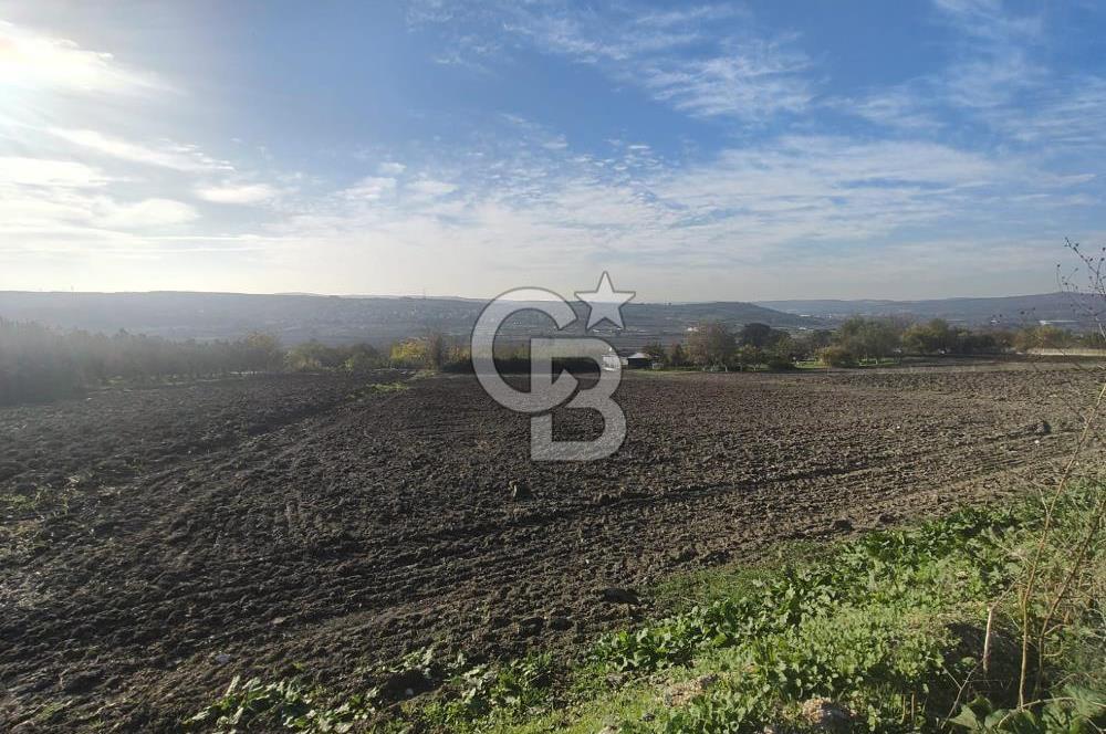 CB BLACK'TAN NİLÜFER İRFANİYE'DE ASFALT YOLA CEPHE SATILIK TARLA