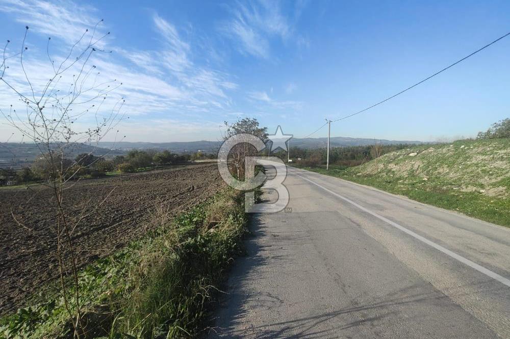 CB BLACK'TAN NİLÜFER İRFANİYE'DE ASFALT YOLA CEPHE SATILIK TARLA