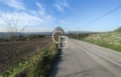 CB BLACK'TAN NİLÜFER İRFANİYE'DE ASFALT YOLA CEPHE SATILIK TARLA