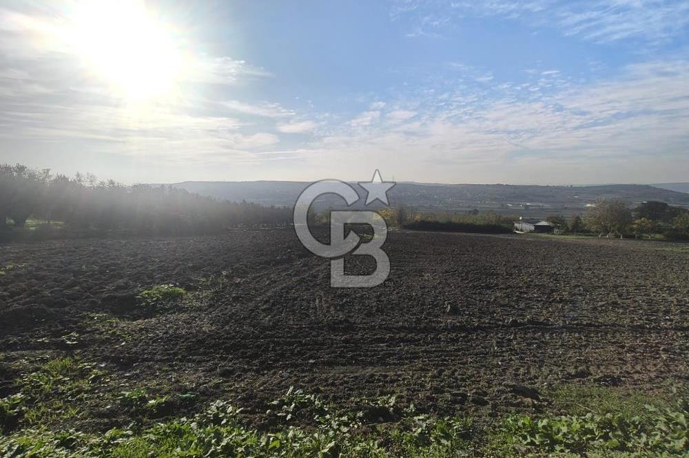 CB BLACK'TAN NİLÜFER İRFANİYE'DE ASFALT YOLA CEPHE SATILIK TARLA