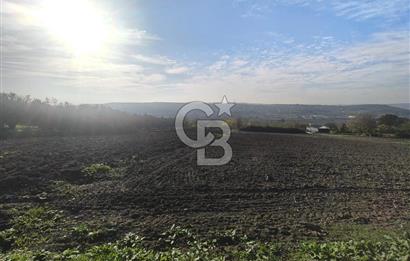 CB BLACK'TAN NİLÜFER İRFANİYE'DE ASFALT YOLA CEPHE SATILIK TARLA