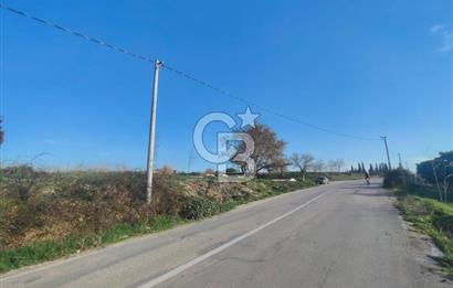 CB BLACK'TAN NİLÜFER İRFANİYE'DE ASFALT YOLA CEPHE SATILIK TARLA