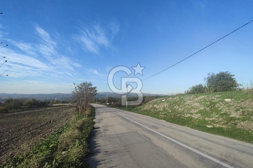 CB BLACK'TAN NİLÜFER İRFANİYE'DE ASFALT YOLA CEPHE SATILIK TARLA