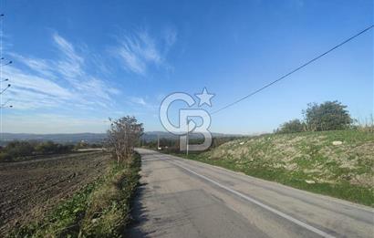 CB BLACK'TAN NİLÜFER İRFANİYE'DE ASFALT YOLA CEPHE SATILIK TARLA