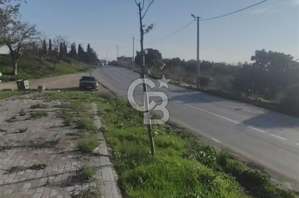 CB BLACK'TAN NİLÜFER İRFANİYE'DE ASFALT YOLA CEPHE SATILIK TARLA