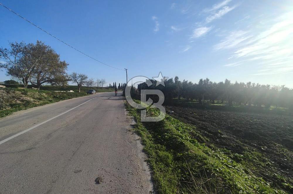 CB BLACK'TAN NİLÜFER İRFANİYE'DE ASFALT YOLA CEPHE SATILIK TARLA