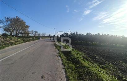 CB BLACK'TAN NİLÜFER İRFANİYE'DE ASFALT YOLA CEPHE SATILIK TARLA