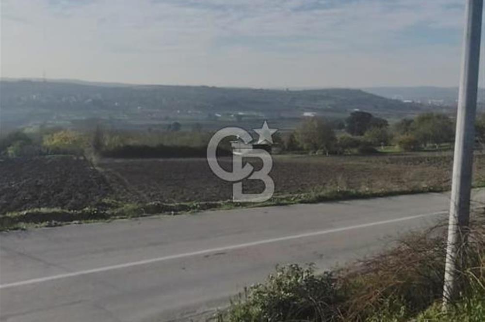 CB BLACK'TAN NİLÜFER İRFANİYE'DE ASFALT YOLA CEPHE SATILIK TARLA