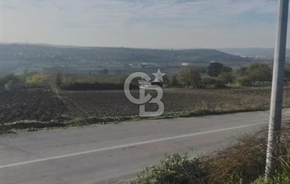 CB BLACK'TAN NİLÜFER İRFANİYE'DE ASFALT YOLA CEPHE SATILIK TARLA