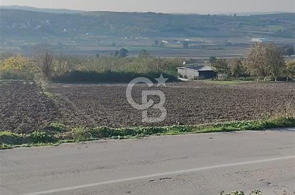 CB BLACK'TAN NİLÜFER İRFANİYE'DE ASFALT YOLA CEPHE SATILIK TARLA