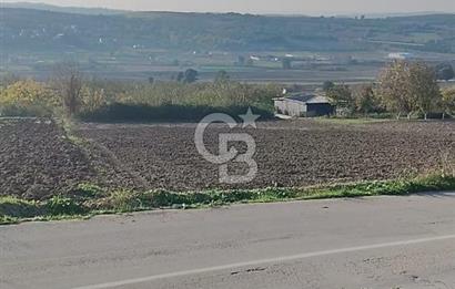 CB BLACK'TAN NİLÜFER İRFANİYE'DE ASFALT YOLA CEPHE SATILIK TARLA