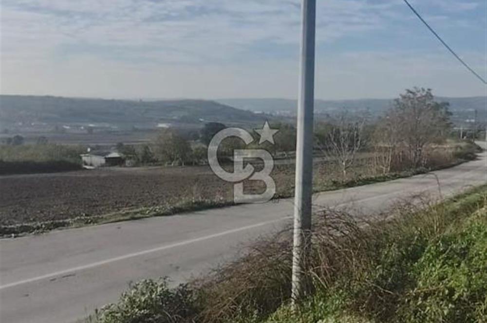 CB BLACK'TAN NİLÜFER İRFANİYE'DE ASFALT YOLA CEPHE SATILIK TARLA