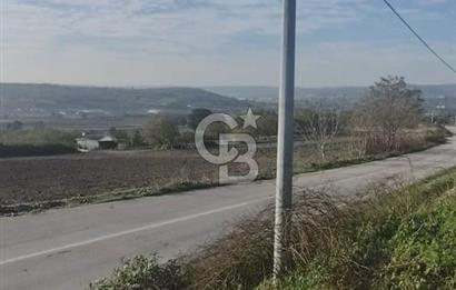 CB BLACK'TAN NİLÜFER İRFANİYE'DE ASFALT YOLA CEPHE SATILIK TARLA