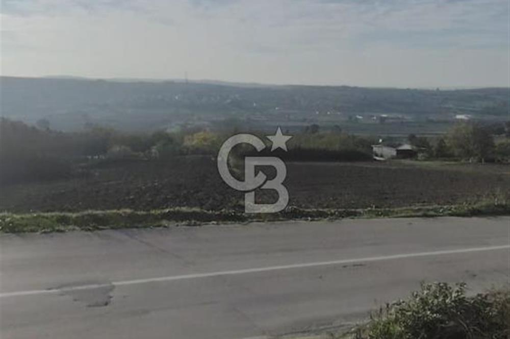 CB BLACK'TAN NİLÜFER İRFANİYE'DE ASFALT YOLA CEPHE SATILIK TARLA