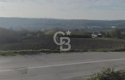 CB BLACK'TAN NİLÜFER İRFANİYE'DE ASFALT YOLA CEPHE SATILIK TARLA