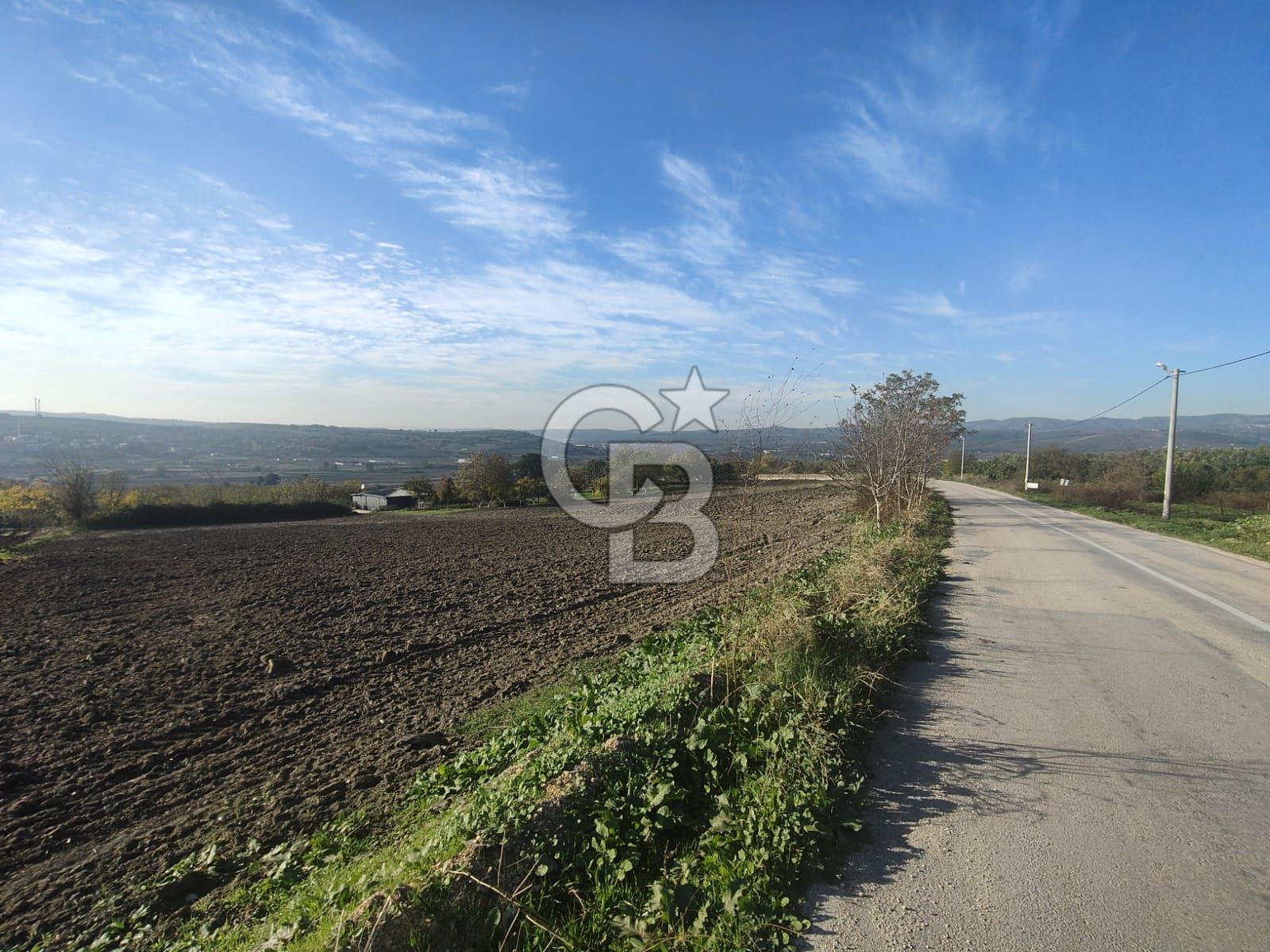 CB BLACK'TAN NİLÜFER İRFANİYE'DE ASFALT YOLA CEPHE SATILIK TARLA