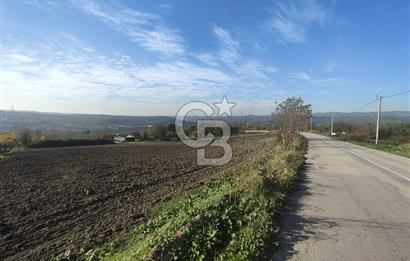 CB BLACK'TAN NİLÜFER İRFANİYE'DE ASFALT YOLA CEPHE SATILIK TARLA