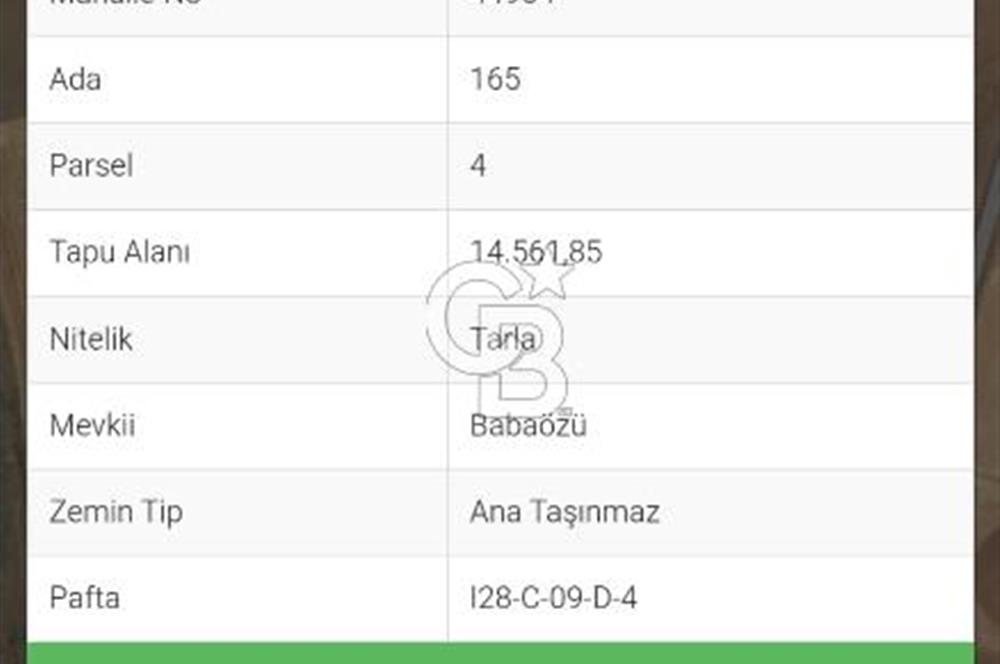 TEMELLİ/ÇOKÖREN MAH'DE KÖK VE TEK TAPU YATIRIMLIK TARLA