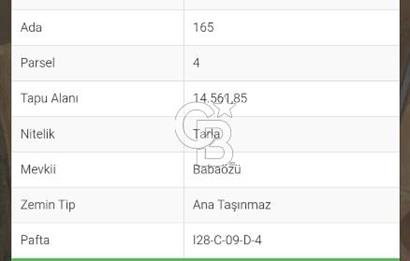 TEMELLİ/ÇOKÖREN MAH'DE KÖK VE TEK TAPU YATIRIMLIK TARLA