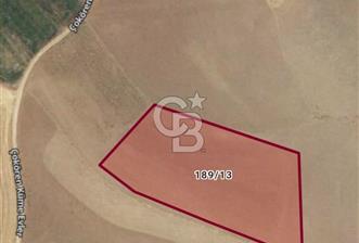 TEMELLİ/ÇOKÖREN MAH'DE KÖK VE TEK TAPU YATIRIMLIK TARLA - 2 - 312072