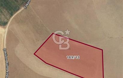 TEMELLİ/ÇOKÖREN MAH'DE KÖK VE TEK TAPU YATIRIMLIK TARLA