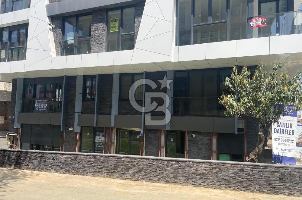 KALAMIŞ SAHİLDE MARİNAYA YÜRÜME MESAFESİNDE 2+1 DAİRE