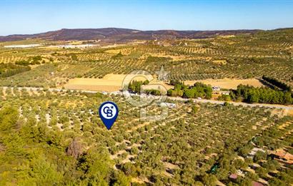 İzmir- Foça Karayolu Üzeri Satılık 2027 m2 Tarla