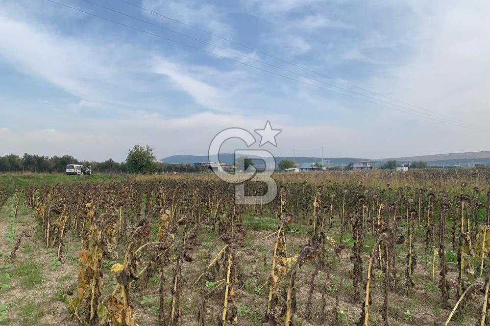 İZMİR FOÇA GERENKÖY SATILIK TARLA