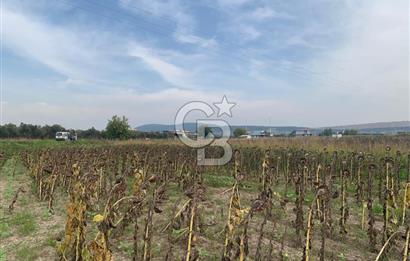 İZMİR FOÇA GERENKÖY SATILIK TARLA