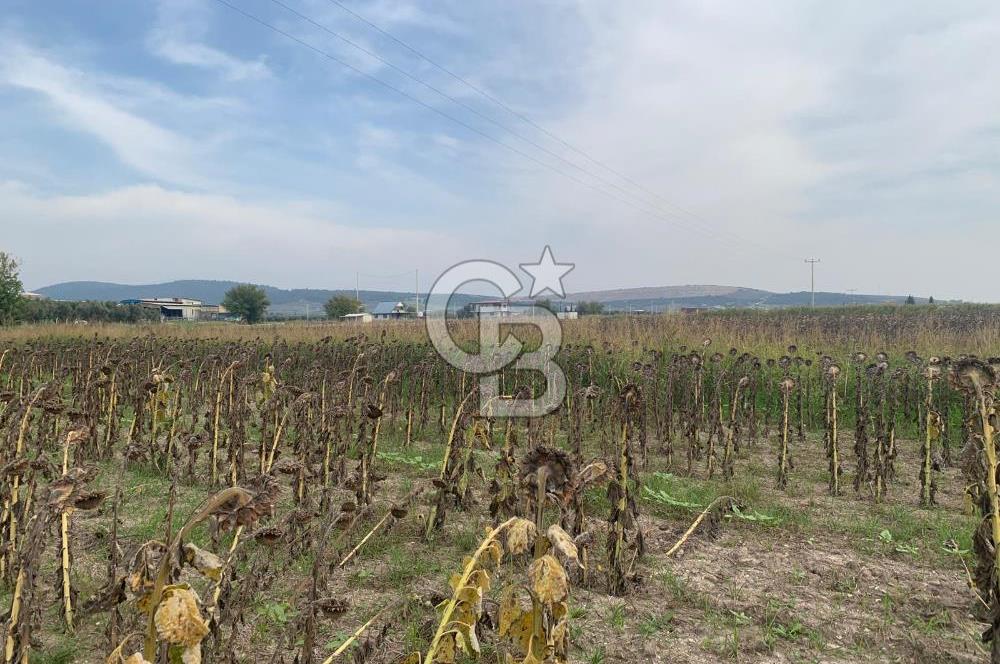 İZMİR FOÇA GERENKÖY SATILIK TARLA